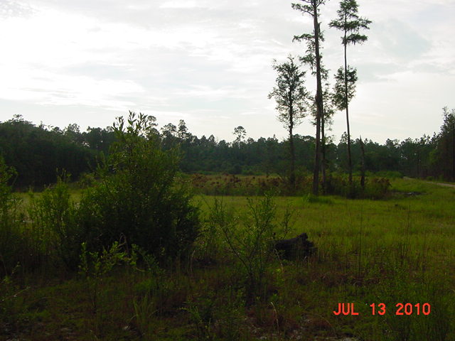 122 Ariana Cv, Crawfordville, FL 32327 