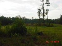 122 Ariana Cv, Crawfordville, FL 32327 