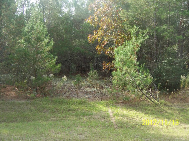 113th Pl, Ocala, FL 34476 