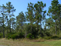 Lot 6 Daytona Dr, Indian Lake Estates, FL 33855 