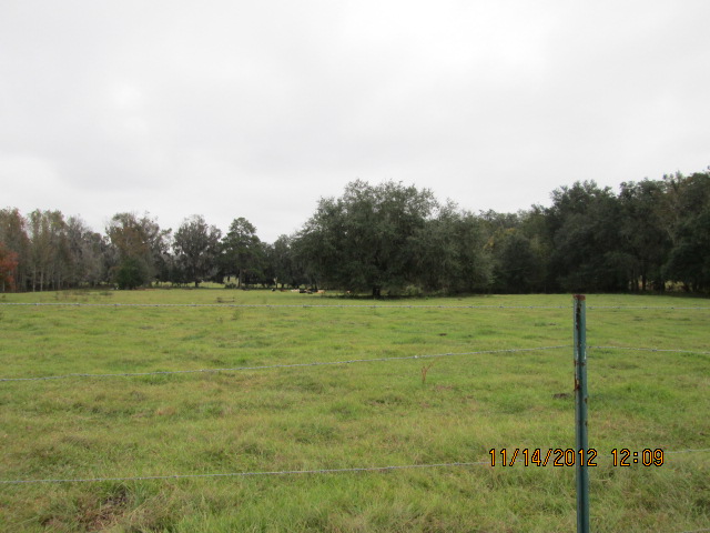 2351 56th Avenue, Gainesville, FL 32608 