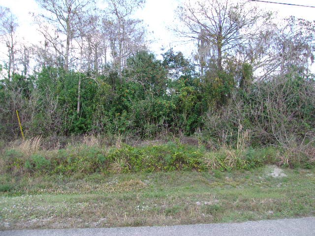 2973 37th Ave, Naples, FL 34120 
