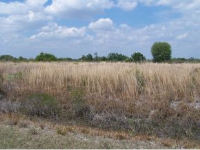 1772 270th Street, Okeechobee, FL 34972 