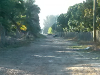 100 196th St, Miami, FL 33187 