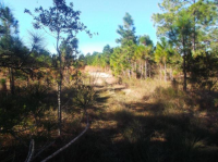 7423  SWEDEN BLVD, PUNTA GORDA, FL 33982 