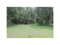NW 141 ST AVE, REDDICK, FL 32686 