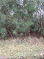 5225  SR 13 N, JACKSONVILLE, FL 32259 