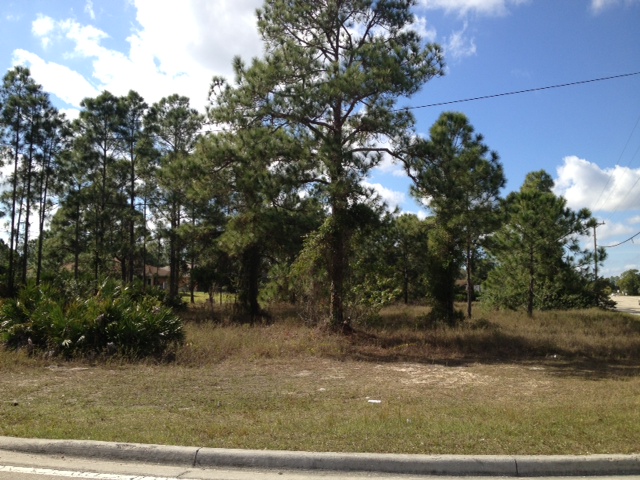 4001 And 4003 Lee Blvd, Lehigh Acres, FL 33971 