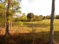 Queen Ave La Deca, Clewiston, FL 33440 
