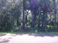 LOT 1 STAGECOACH TRA, WIMAUMA, FL 33598 