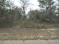 Lot 22 Wavecrest St,unit 2 Blk 2, Chipley, FL 32428 