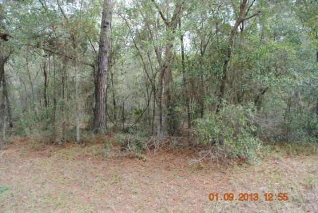 1121 N.E. COUNTY RD 234, GAINESVILLE, FL 32601 