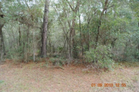 1121 N.E. COUNTY RD 234, GAINESVILLE, FL 32601 