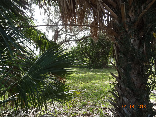 4917 24th Ave  S, Gulfport, FL 33707 