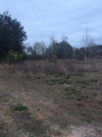 XXXX COLT LN, WINTER GARDEN, FL 34787 