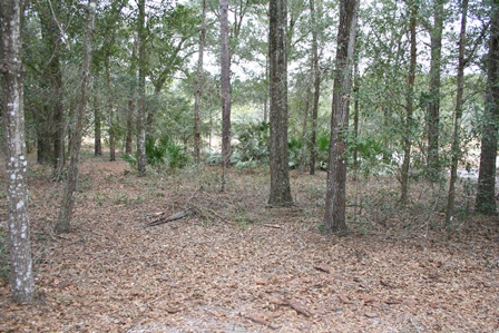 27603  STATE RD 46, SORRENTO, FL 32776 