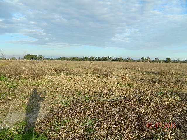 9240 Hull Avenue Sw, Arcadia, FL 34266 