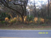 Tbd 155th Street, Dunnellon, FL 34432 