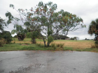 DEL SOL DR, MERRITT ISLAND, FL 32952 