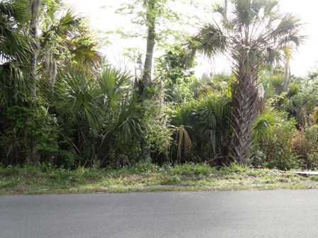 2221 Elm St, Oviedo, FL 32765 