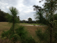 631  NEWHALL LANE, DEBARY, FL 32713 
