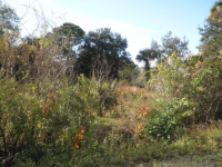 XXX Saratoga Lane, COCOA, FL 32926 