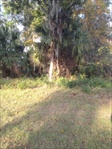 0 Harrington Park Dr, JACKSONVILLE, FL 32225 