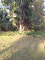 0 Harrington Park Dr, JACKSONVILLE, FL 32225 