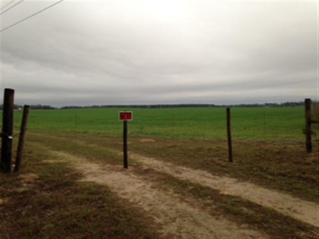 Tbd 33rd St, Dunnellon, FL 34431 