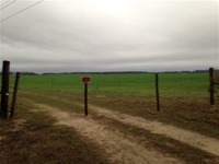 Tbd 33rd St, Dunnellon, FL 34431 