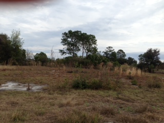 LOT 16 RANCH ESTATE, ORLANDO, FL 32822 