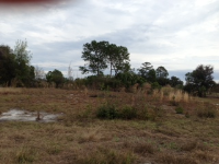 LOT 16 RANCH ESTATE, ORLANDO, FL 32822 