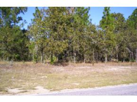 9781 North Athenia Drive, Citrus Springs, FL 34434 