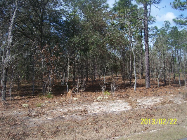 Block 38 Rollings Hills,unit 1, Dunnellon, FL 34432 