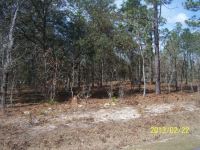 Block 38 Rollings Hills,unit 1, Dunnellon, FL 34432 
