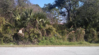 5924  MOHR LOOP, TAMPA, FL 33615 