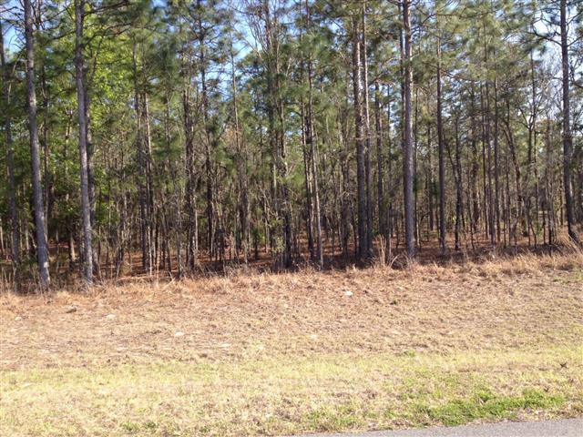 Lot 15 Less The East,-5, Ocala, FL 34481 