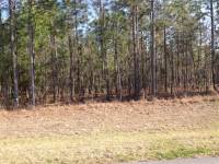 Lot 15 Less The East,-5, Ocala, FL 34481 