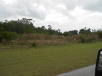 LOT 12 BRIDLEWOOD RA, OKEECHOBEE, FL 34974 