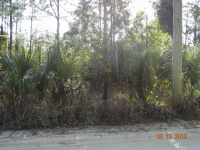 Apn 00414122000007050, Palm Beach Gardens, FL 33418 