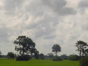 6527 26th Trl, Okeechobee, FL 34974 