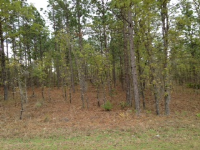 Lot12w 93rd Street, Ocala, FL 34481 