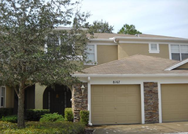 8167 Stone Leaf Lane, Tampa, FL 33647 