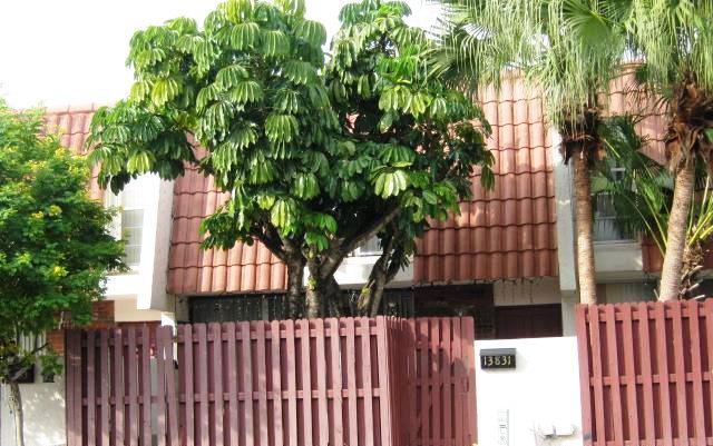 13831 SW 84 St Unit # 505, Miami, FL 33183 