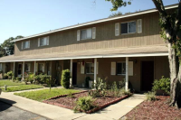 4016 Cypress Willow Court, Tampa, FL 33614 