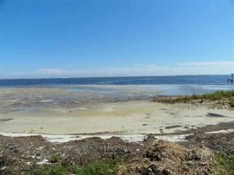 2268 Hwy 98 (Apn# 02-08s-05w-0000-0, West Carabelle, FL 32322 