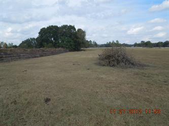 Se Cr 42 (Apn# 44723-002-00), Summerfield, FL 34491 