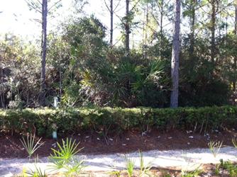 84 Tall Timber Ct, Santa Rosa Beach, FL 32459 