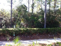 84 Tall Timber Ct, Santa Rosa Beach, FL 32459 