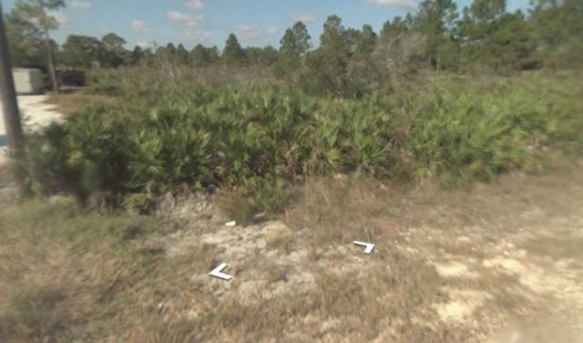 2103 Scott Ave, Alva, FL 33920 